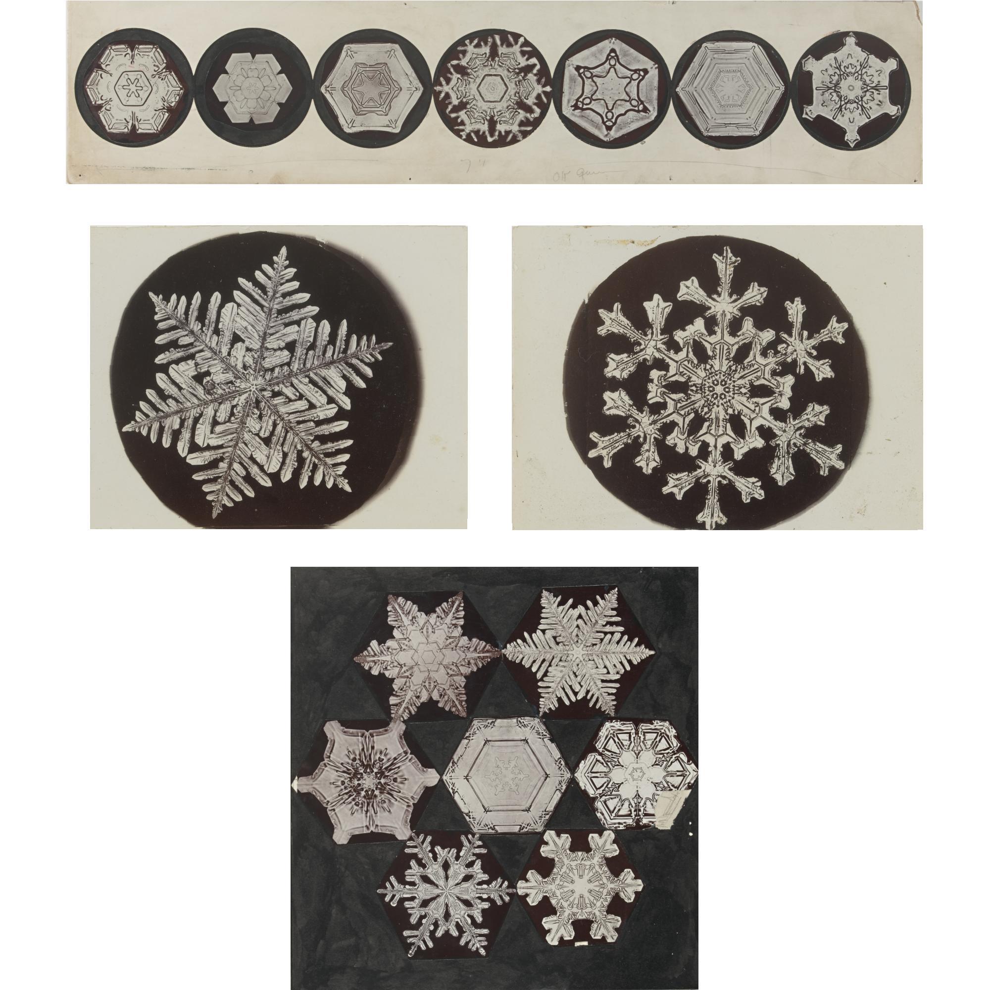 Wilson A. Bentley - Selected Images Of Snowflakes