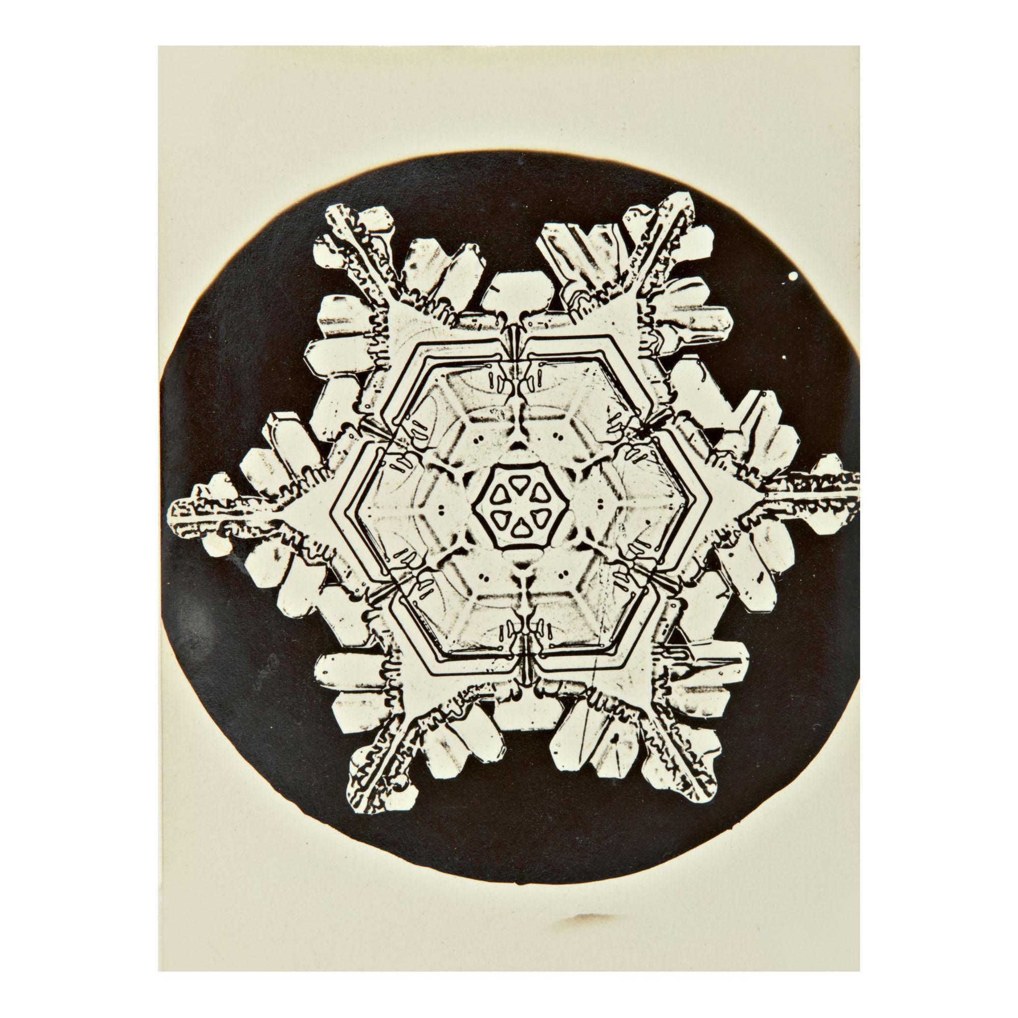 Wilson A. Bentley - Selected Images Of Snowflakes