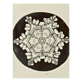 Wilson A. Bentley - Selected Images Of Snowflakes