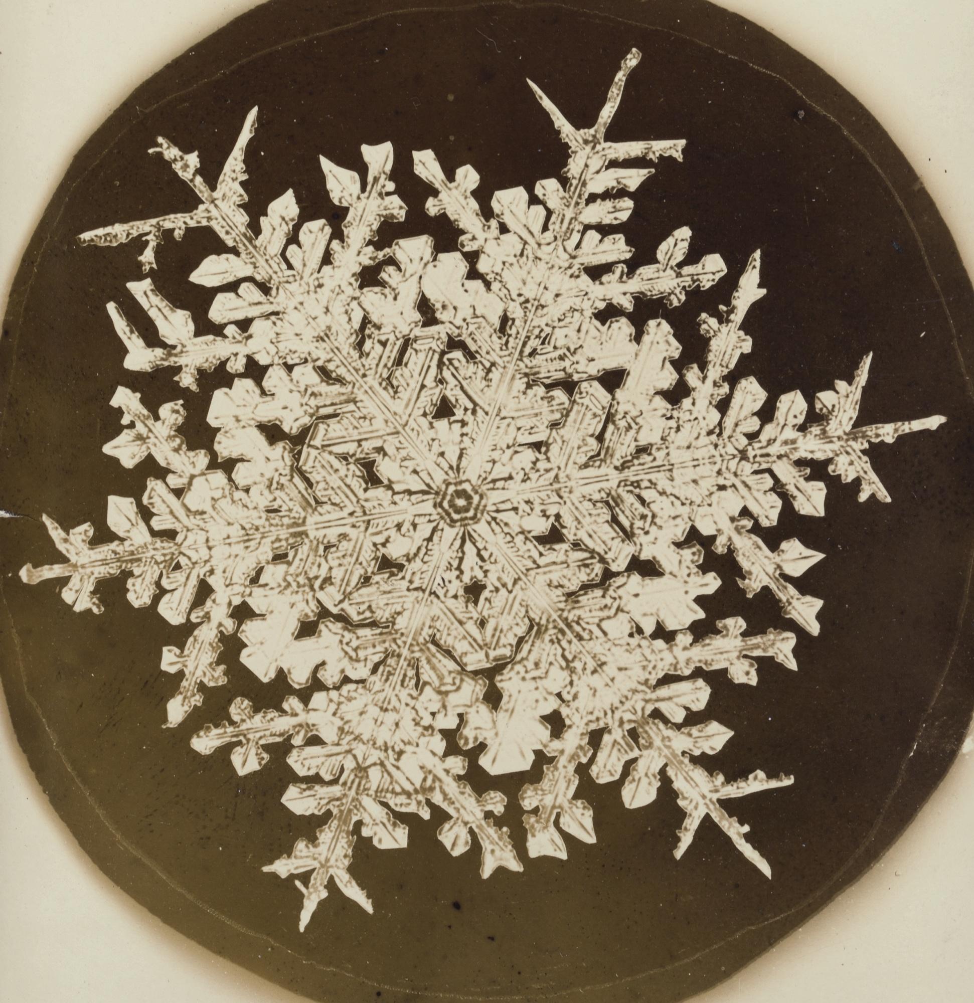 Wilson A. Bentley - Selected Images Of Snowflakes