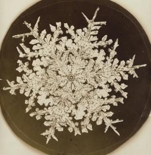 Wilson A. Bentley - Selected Images Of Snowflakes