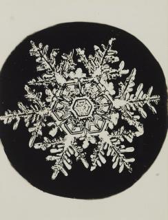 Wilson A. Bentley - Selected Images Of Snowflakes