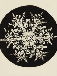 Wilson A. Bentley - Selected Images Of Snowflakes