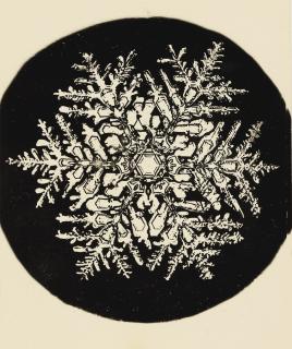 Wilson A. Bentley - Selected Images Of Snowflakes