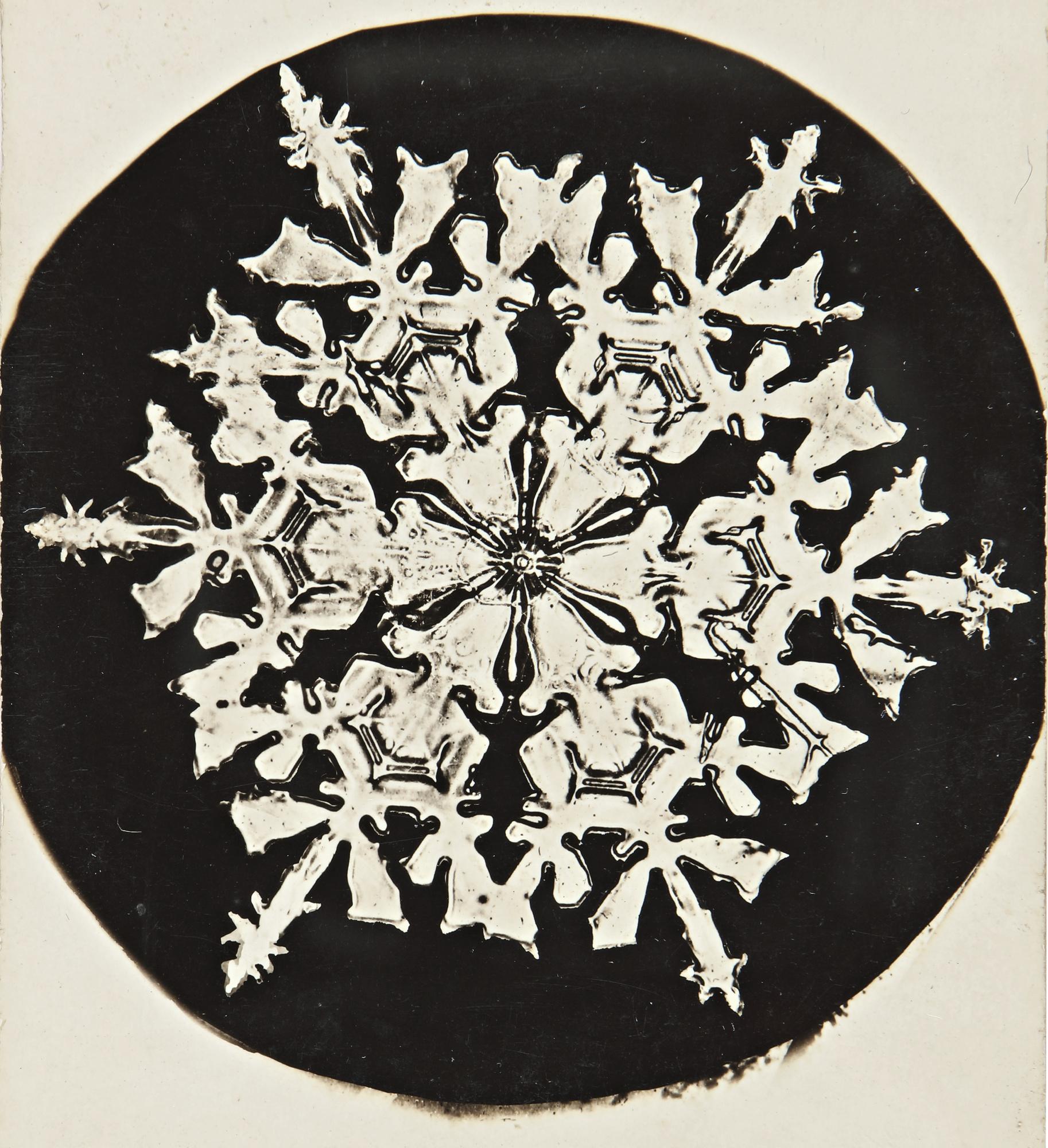 Wilson A. Bentley - Selected Images Of Snowflakes