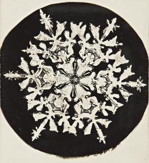 Wilson A. Bentley - Selected Images Of Snowflakes