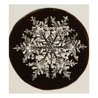 Wilson A. Bentley - Selected Images Of Snowflakes