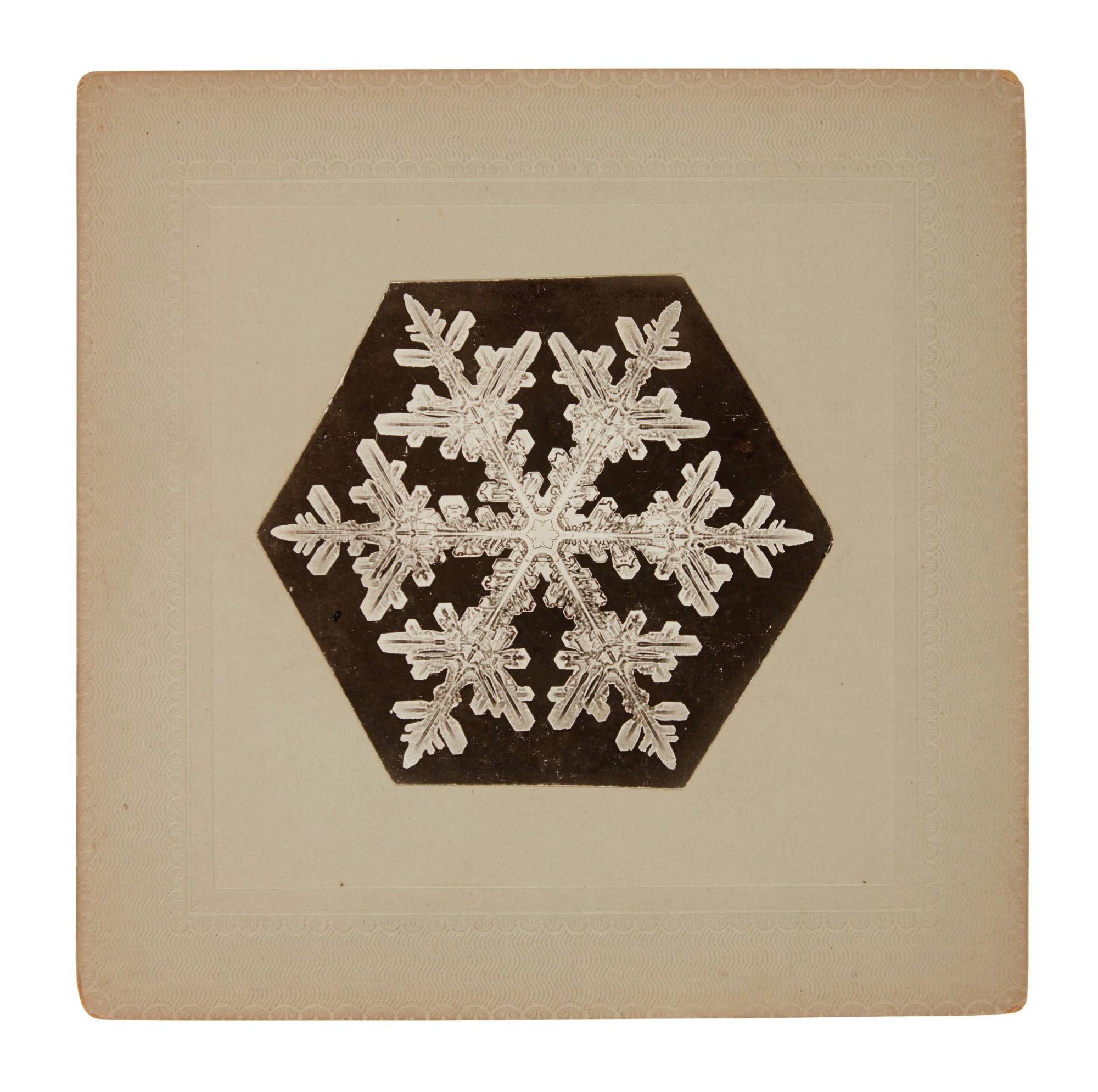 Wilson A. Bentley - Selected Images of Snowflakes