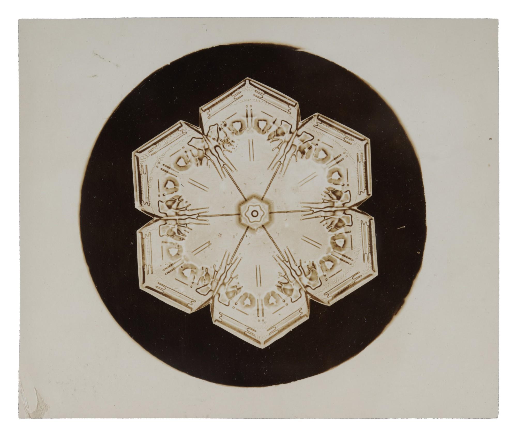 Wilson A. Bentley - Selected Images of Snowflakes