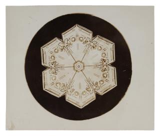 Wilson A. Bentley - Selected Images of Snowflakes