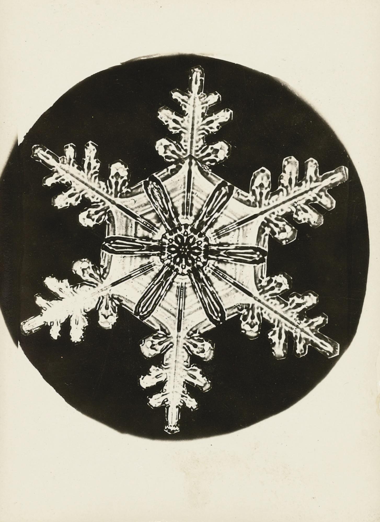 Wilson A. Bentley - Selected Images