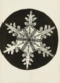 Wilson A. Bentley - Selected Images