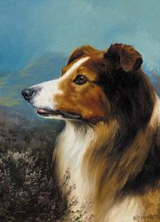 Wilson Hepple - A collie in a moorland landscape
