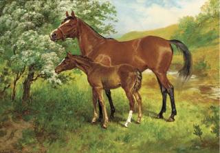 Wilson Hepple - A mare and foal in an orchard