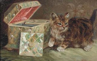 Wilson Hepple - Curiosity