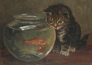 Wilson Hepple - Getting acquainted