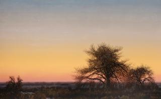 Wilson Hurley - Cottonwoods at Dusk