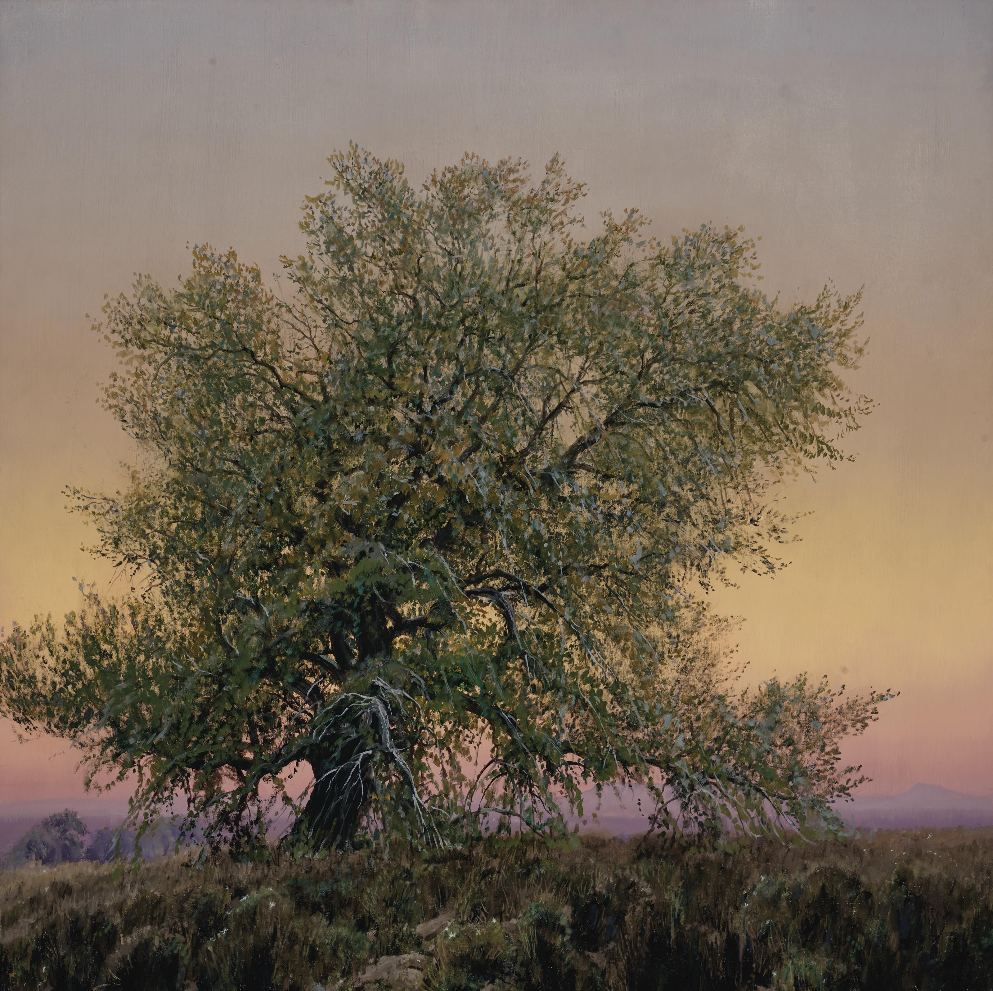 Wilson Hurley - Dusk at Mesa Vista