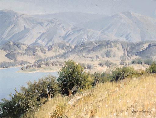 Wilson Hurley - Lake Casitas from Rancho Mi Solar