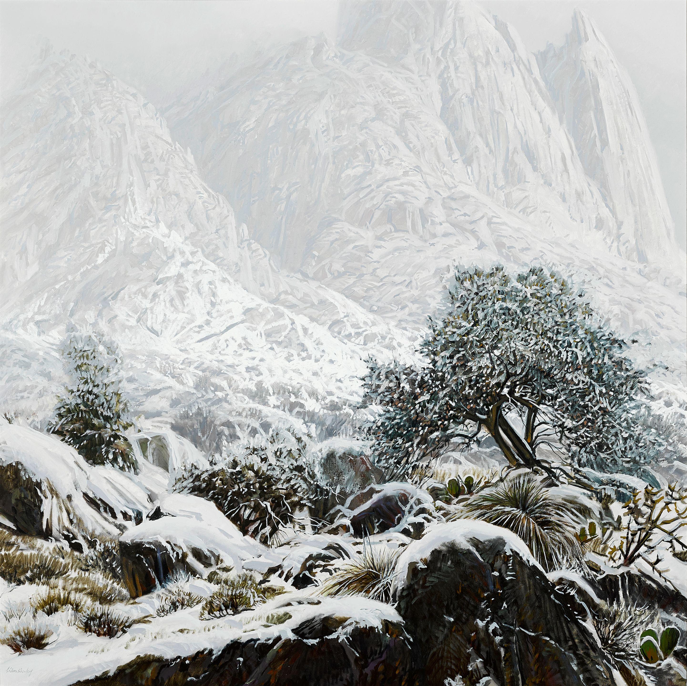 Wilson Hurley - Snow at La Cueva
