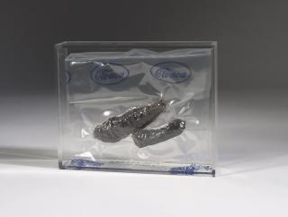 Wim Delvoye - Cloaca