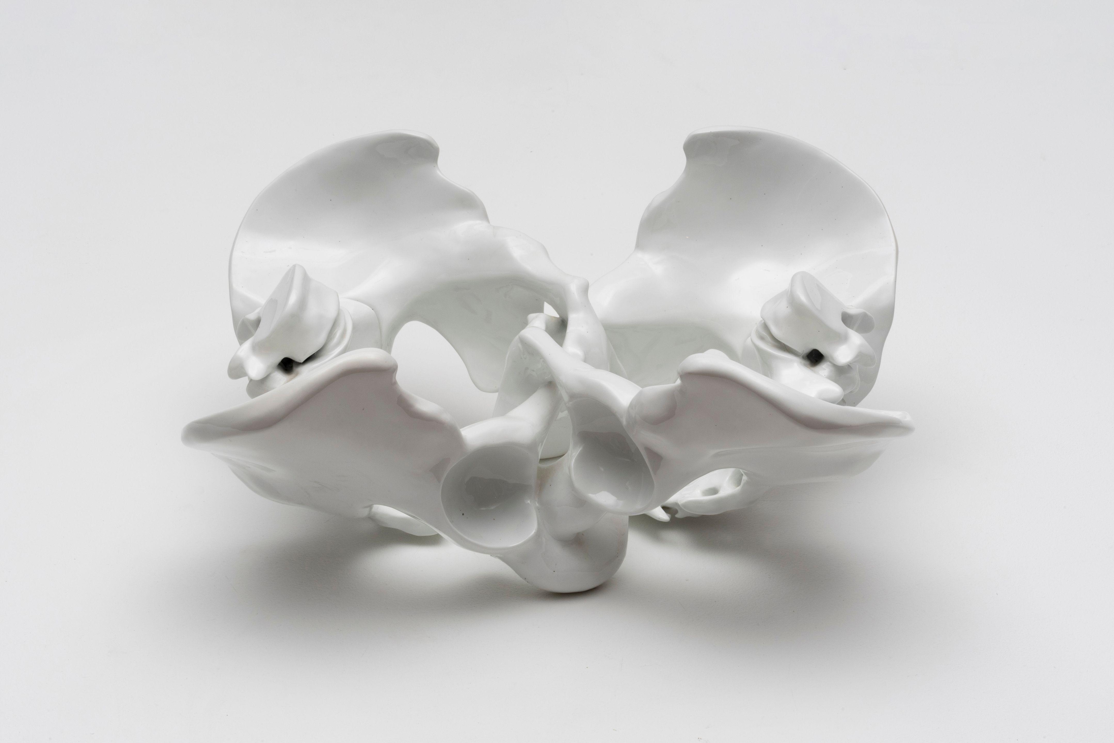 Wim Delvoye - Coccyx double