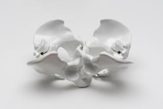 Wim Delvoye - Coccyx double