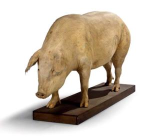 Wim Delvoye - Joséphine