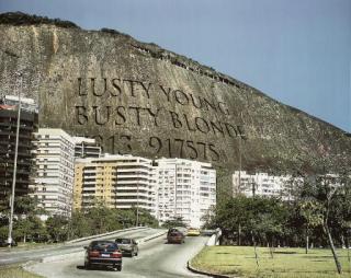 Wim Delvoye - Lusty Busty