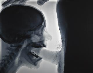 Wim Delvoye - Pipe 1