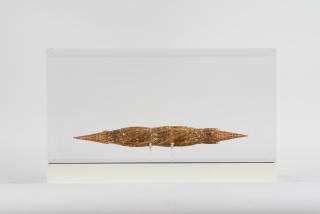 Wim Delvoye - Suppo CCW (scale model 1:26))