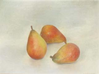 Wim Schuhmacher - Three pears