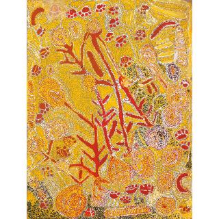 Wimmitji Tjapangarti