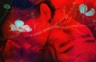 Wing Shya - The Chamber