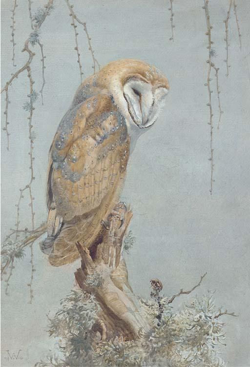 Winifred Austen - Barn Owl