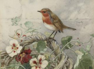 Winifred Marie Louise Austen, R.I., R.E. - A robin perched on a basket of primroses