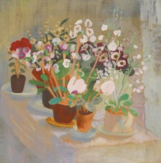 Winifred Nicholson - Cineraria And Cyclamen