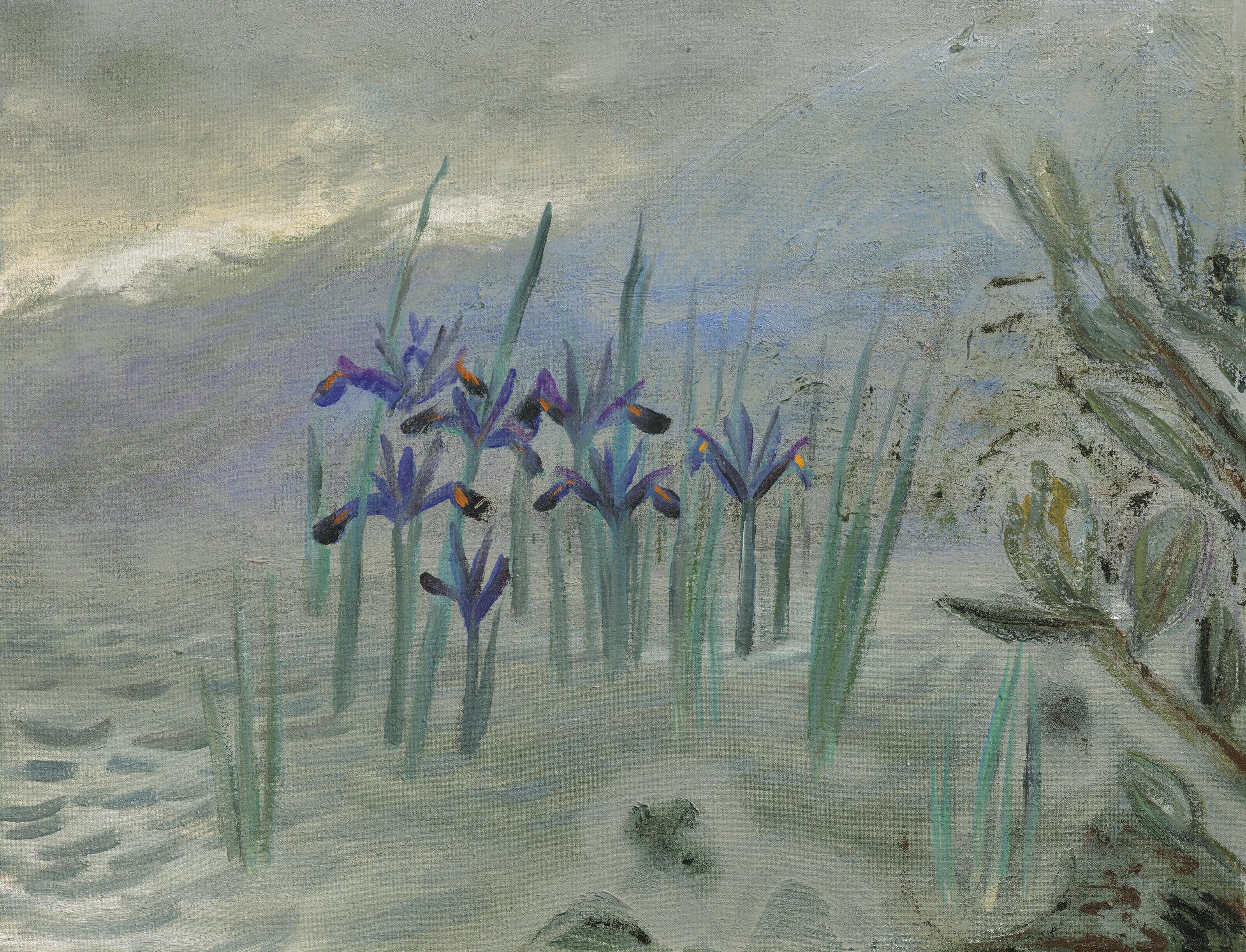 Winifred Nicholson - Marsh Iris