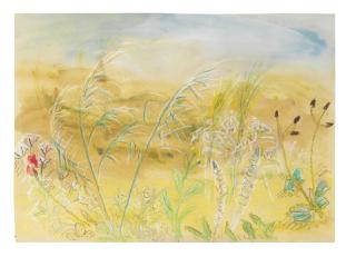 Winifred Nicholson - Wild Flowers, Greece