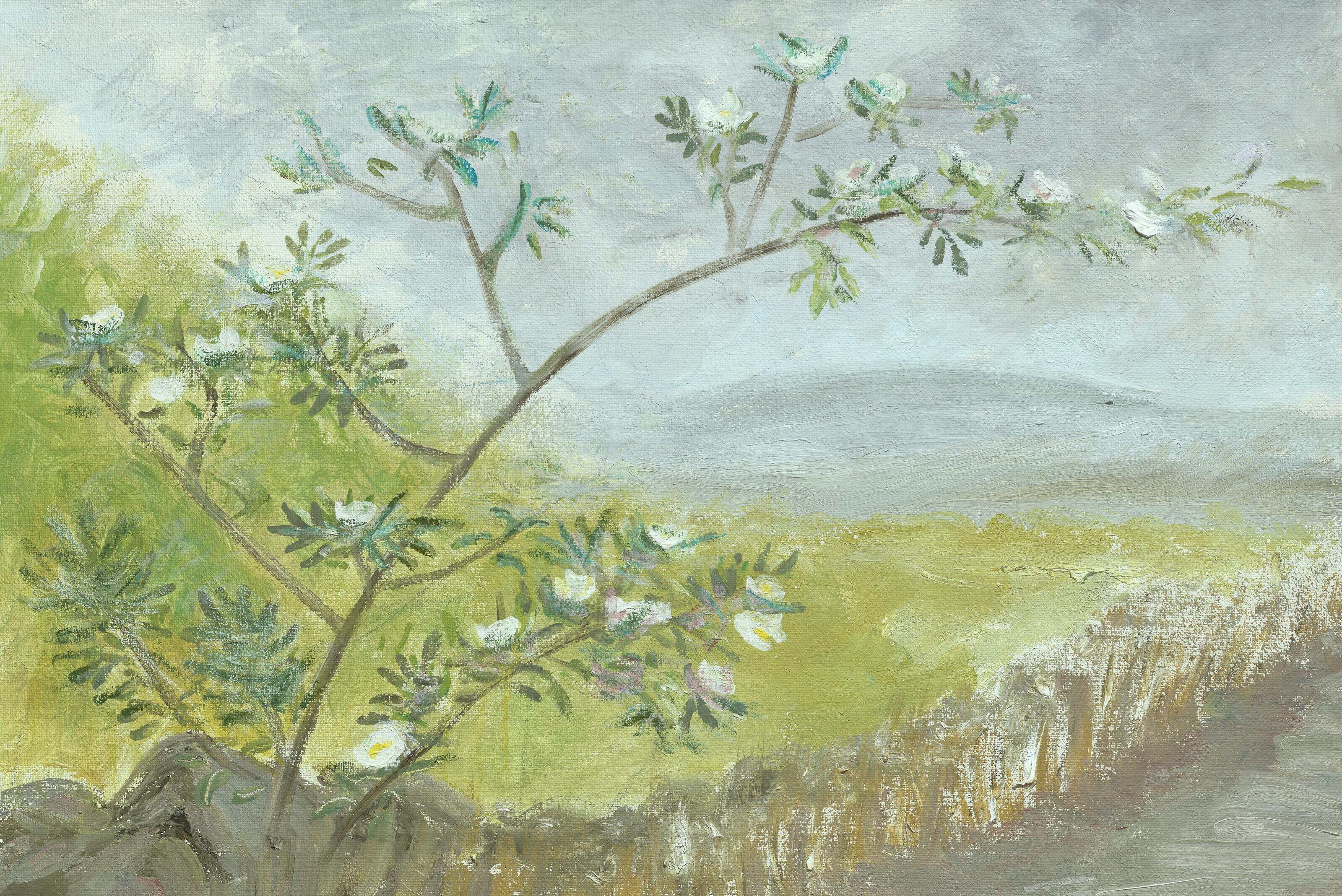 Winifred Nicholson - Wild Rose, Hadrian\'s Wall