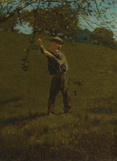 Winslow Homer - Green Apples