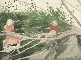 Winslow Homer - Out on a Limb