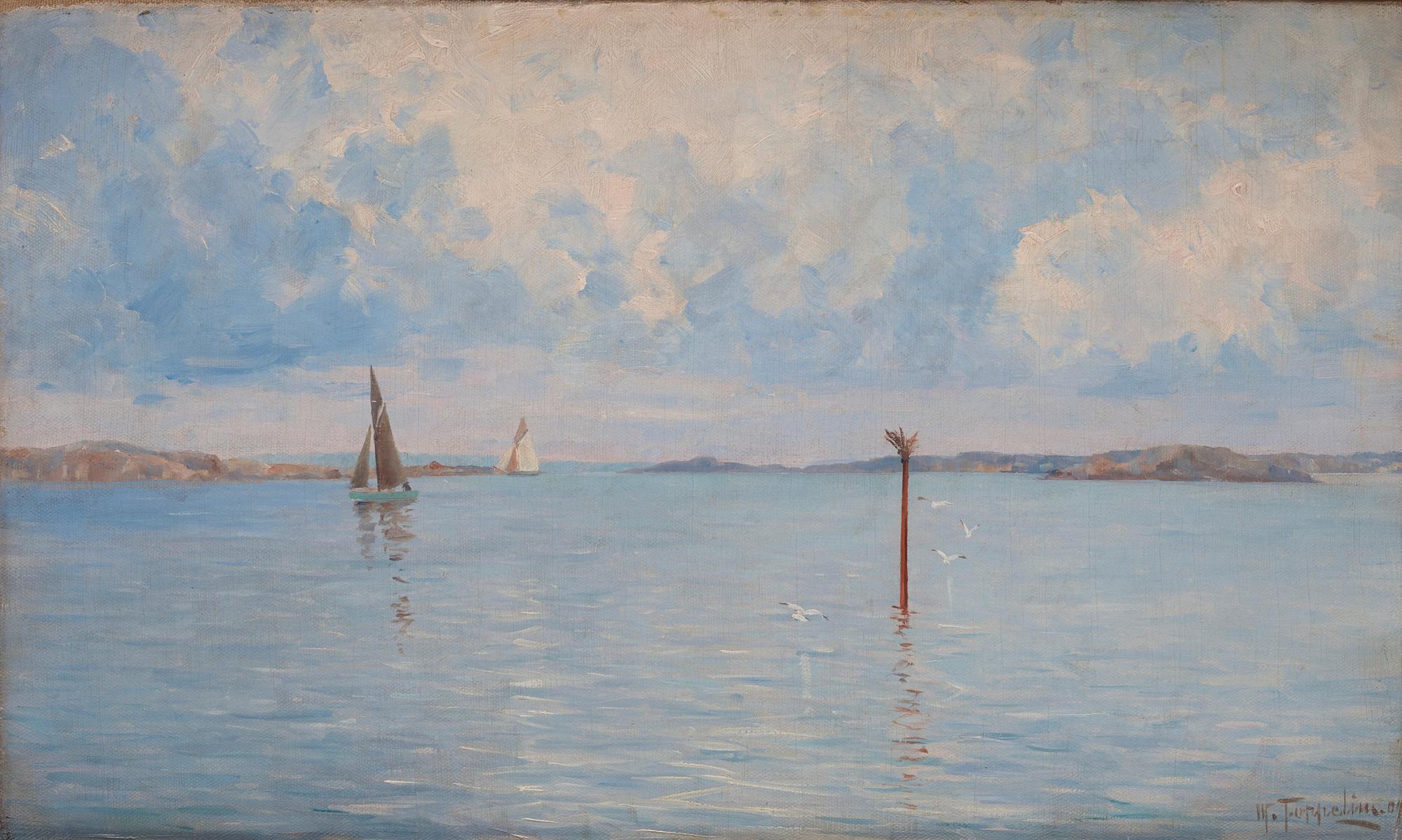 Woldemar Toppelius - Sailor in the Archipelago