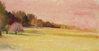 Wolf Kahn - Cornfield in the Evening