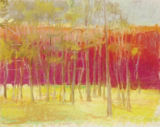 Wolf Kahn - Overcast