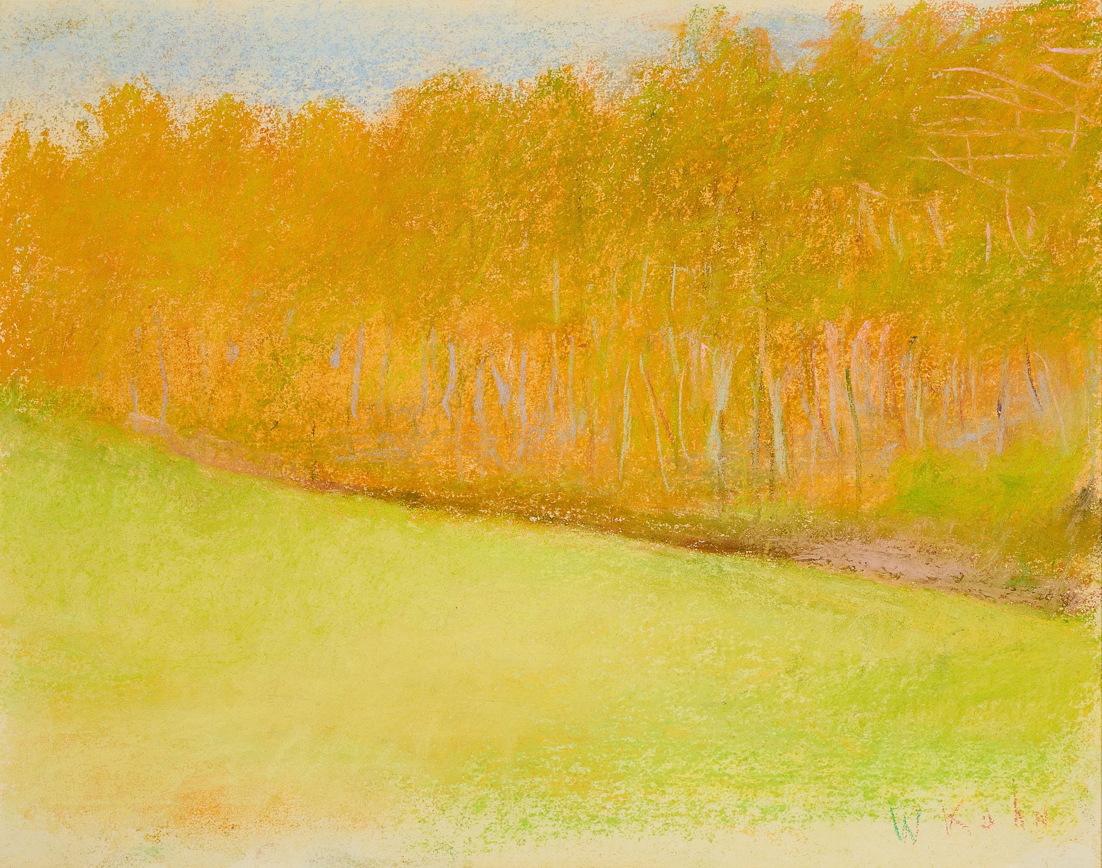 Wolf Kahn - Waldesrand.