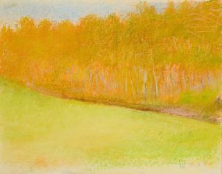 Wolf Kahn - Waldesrand.