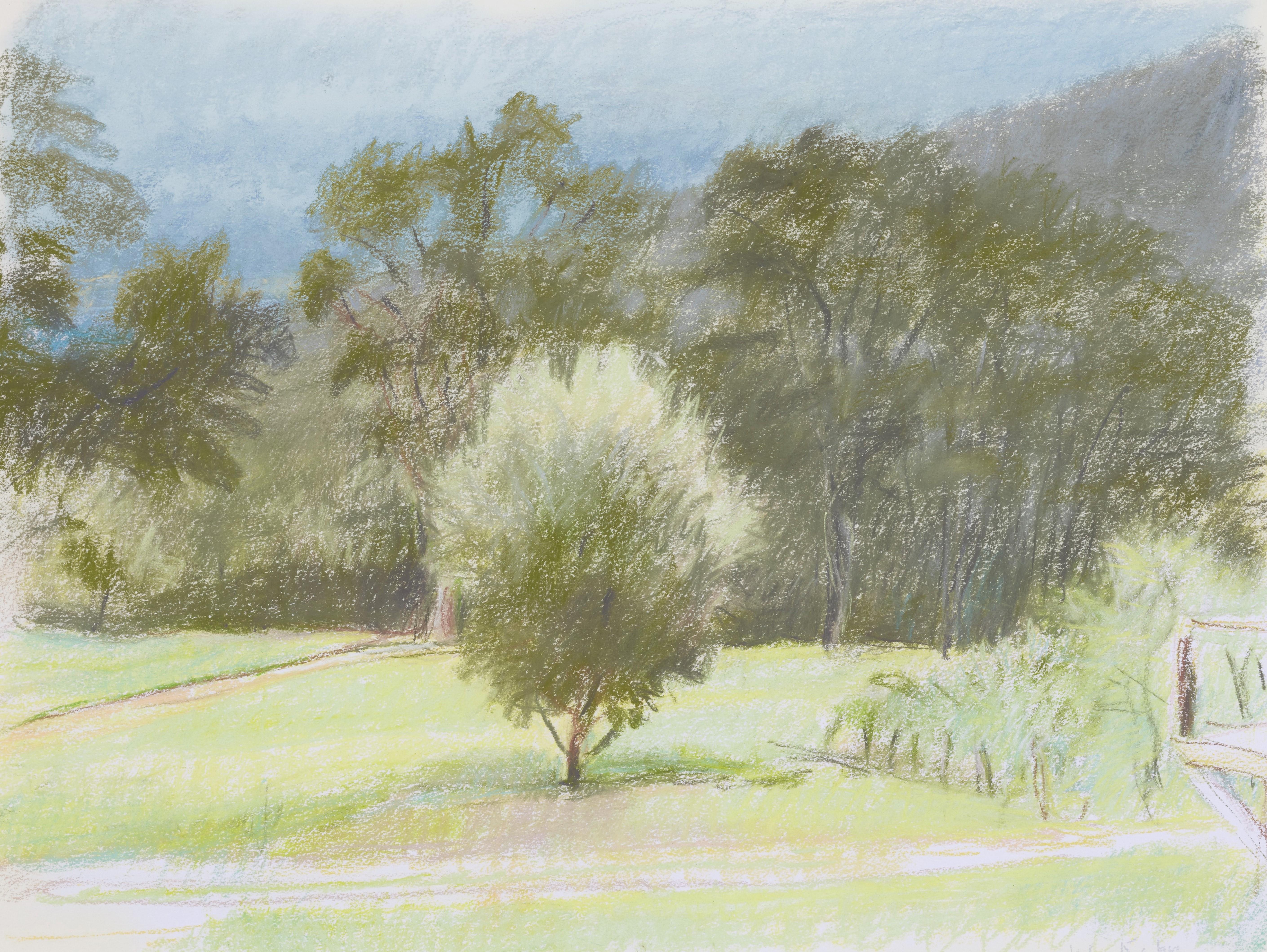 Wolf Kahn - Young Apple Tree