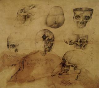 Wolfgang Bier - Indischer Schädel