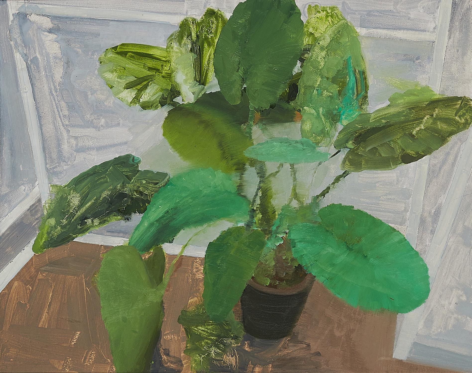 Wolfgang Ellenrieder - \